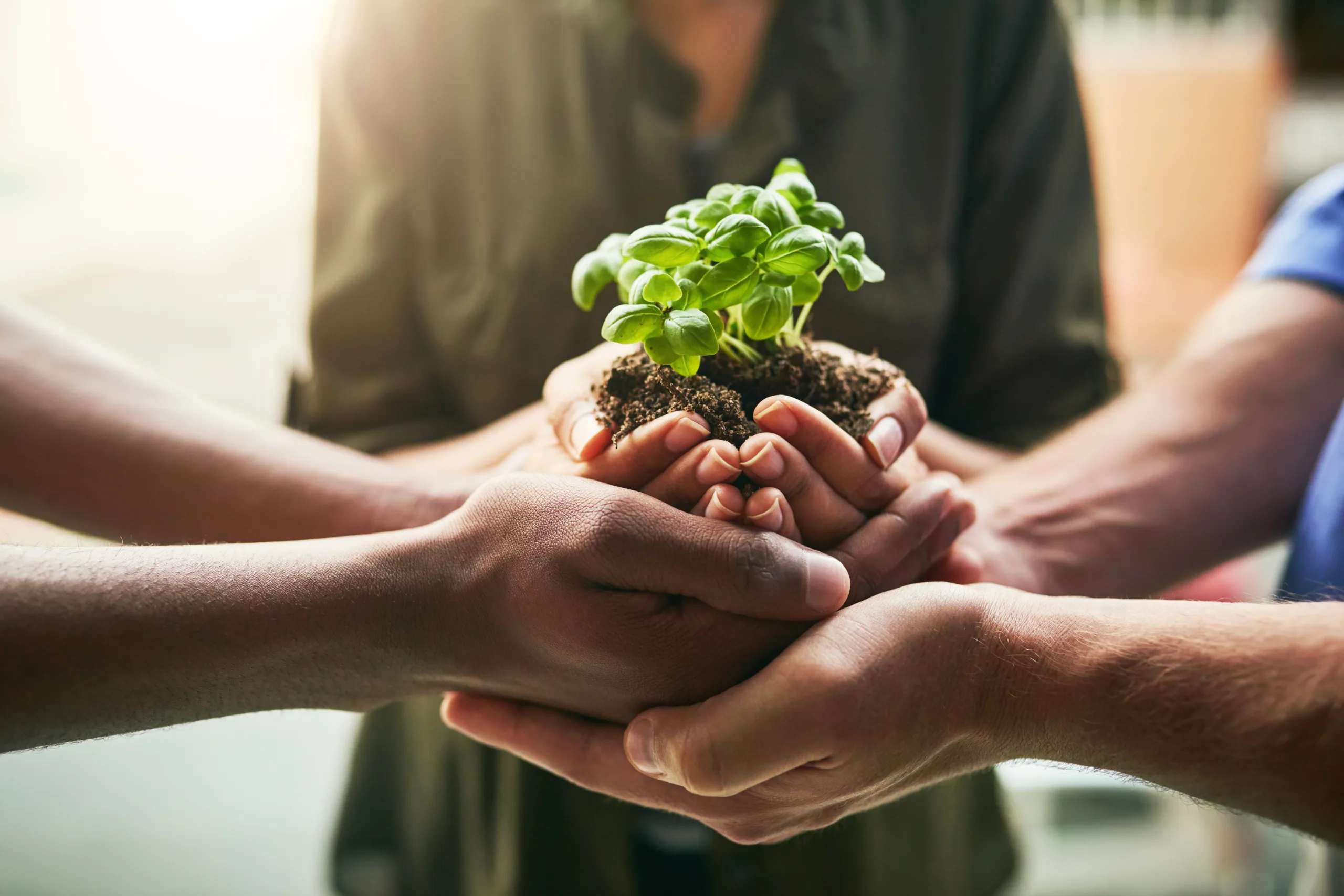 Sustainable with Hands